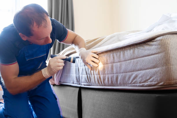 Best Fumigation Services  in Bridgeport, OH